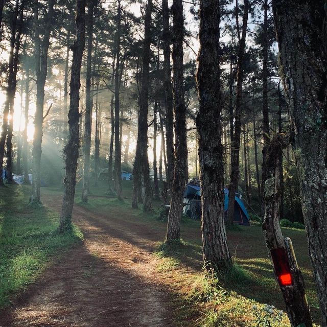 ห้วยน้ำดัง ⛺️🍃🌲หนาวนี้ต้องลอง 