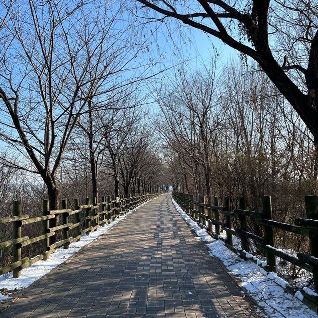 天空公園