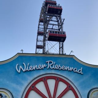 🎡