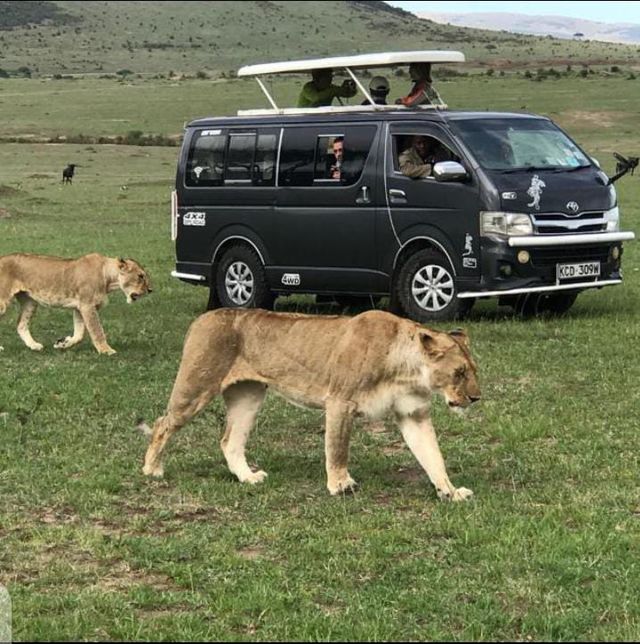 7 days kenya safari 