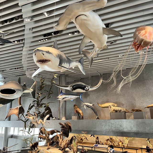 Shanghai Natural History Museum