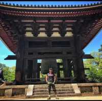 Todai Ji Temple - Nara 