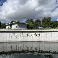 打卡深圳觀瀾濕地公園