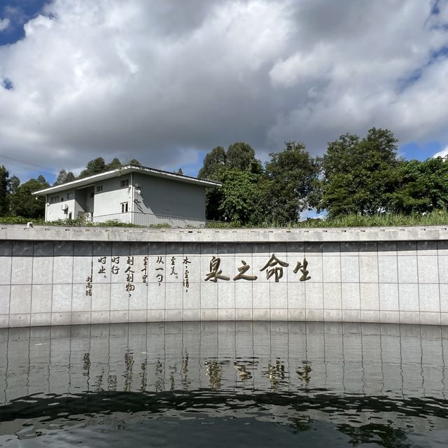 打卡深圳觀瀾濕地公園