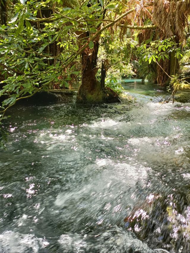 The most vivid Blue Spring, do you have it?