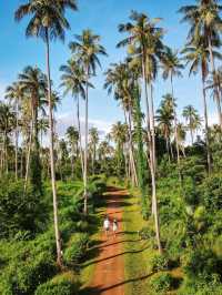 In the southeastern waters of Thailand lies the elusive island of Koh Mak.