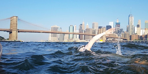 Rose Pitonof Swim 2023 | East River at East 26th Street