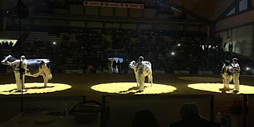 Tribuna V.I.F. Dox-al - Mostra Manze Holstein & Red Holstein | Fiera di Cremona