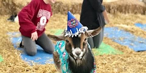 Goat Yoga Nashville- Almost New Year's Eve Class | Goat Yoga Nashville