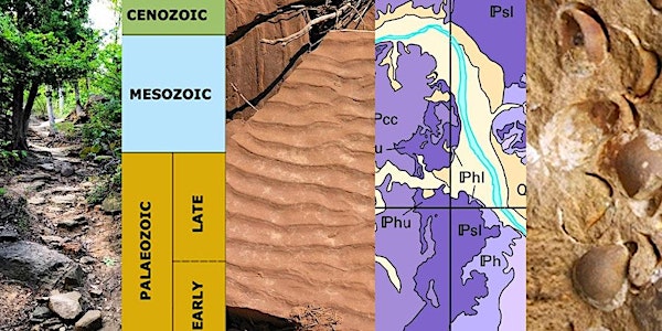 Turkey Rocks! The Geology of Turkey Mountain for the non-Geologist Tour | Turkey Mountain Urban Wilderness