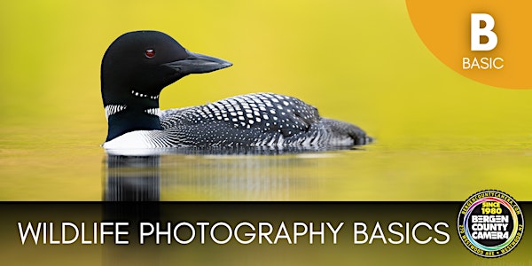 Wildlife Photography Basics | Bergen County Camera