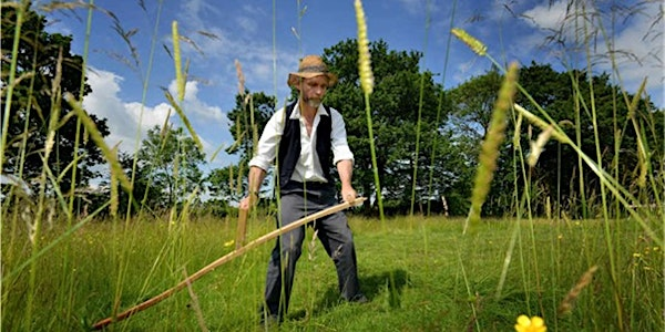Introduction to scything course | The Stiperstones National Nature Reserve