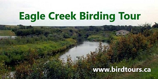 Eagle Creek and Hills Birding Tour | Shoppers Drug Mart parking lot