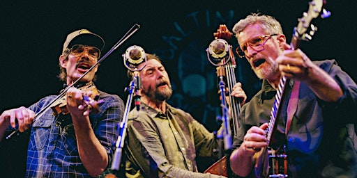 The Lonesome Ace Stringband | The Bassment