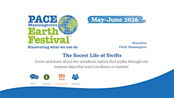 The Secret Life of Swifts | Acorn Villages Ltd