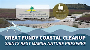 Coastal Connections x Great Fundy Coastal Cleanup! | Saints Rest Marsh