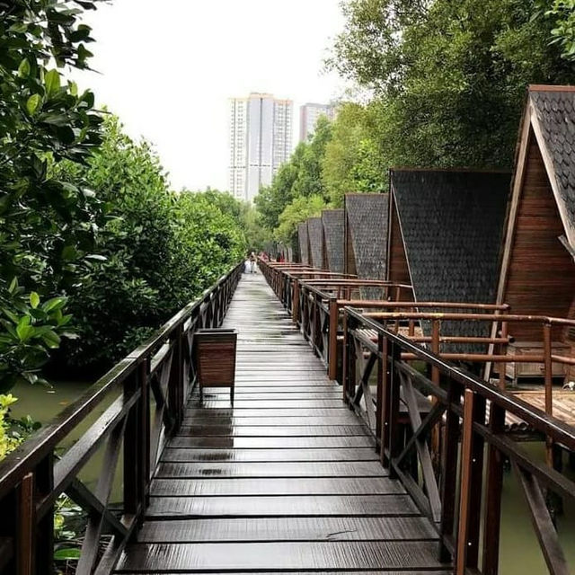 TAMAN WISATA ALAM MANGROVE, JAKARTA❤️