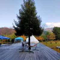 【兵庫県 香美町】満天の星に願いを✨