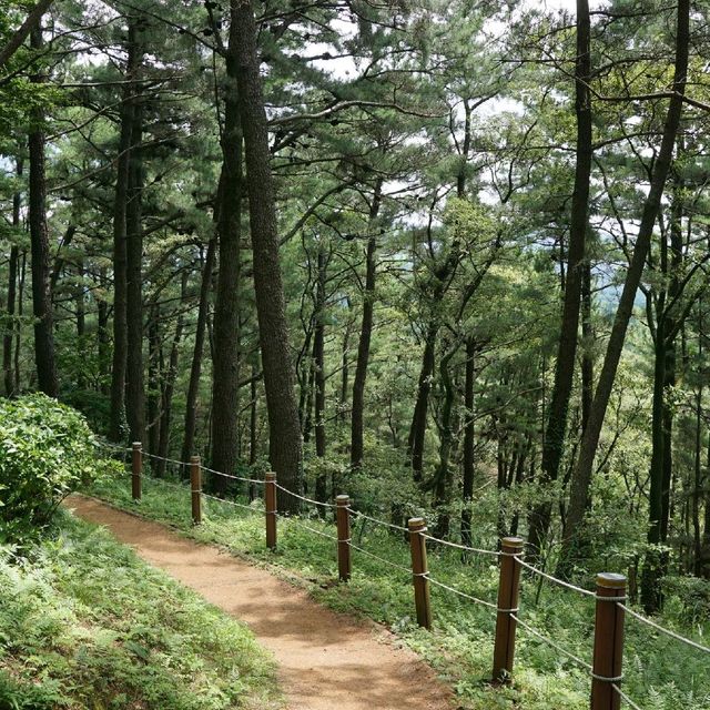 제주도 한라산이 보이는 '광이오름'