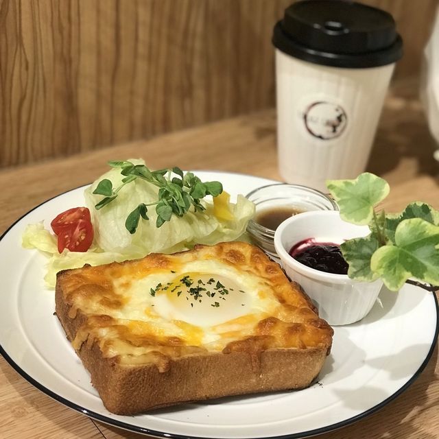 板橋寵物友善咖啡廳☕️foliage cafe圓圓小鬆餅🥞聖誕節🎄限定！