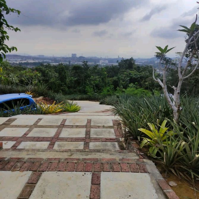 Pineapple Farm! Saudagar Nenas Cafe too! Kajang