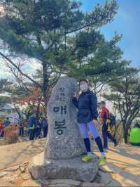 청계산 등산한 후 먹는 파전과 막걸리!🍶