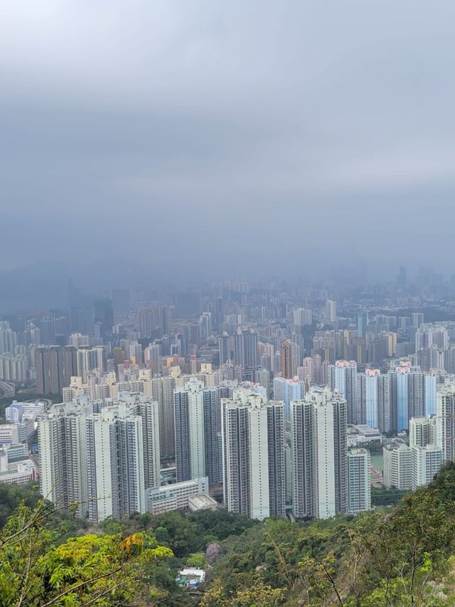 東山象山飛鵝山 
