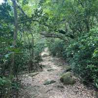 靚景行山路線