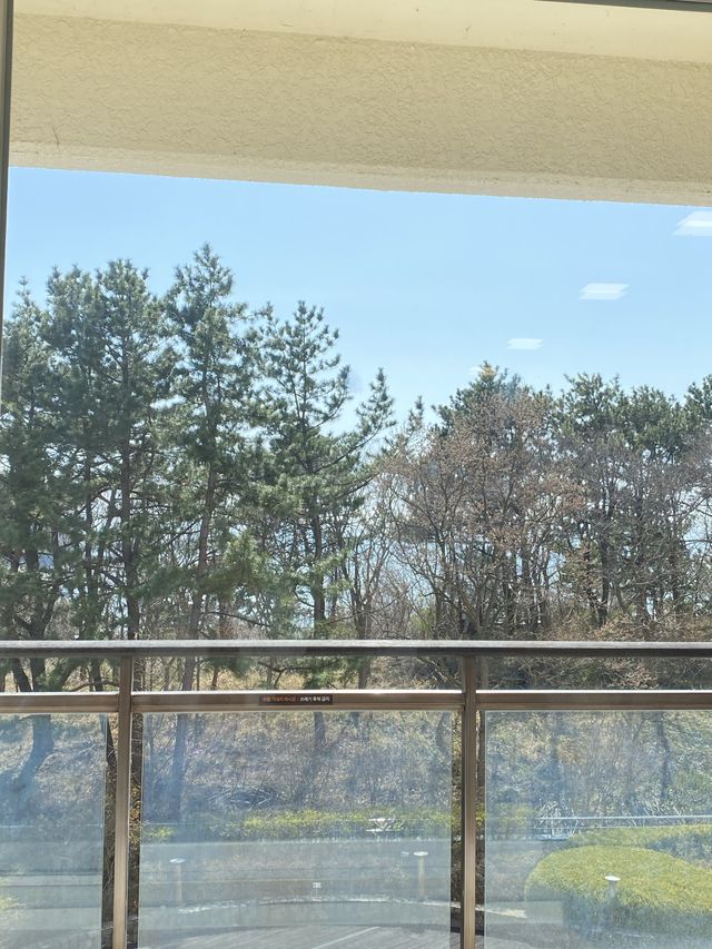 변산 채석강 산책길이 있는 호캉스, 소노벨 변산 📸