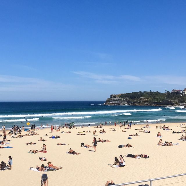 Chilling at Bondi Beach 🌊🇦🇺