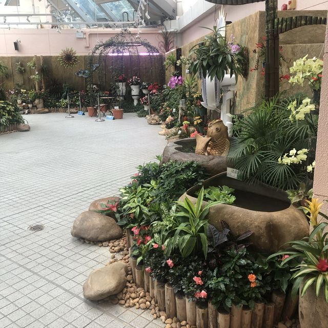 欣賞溫室內的植物