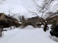 函館 五稜郭公園