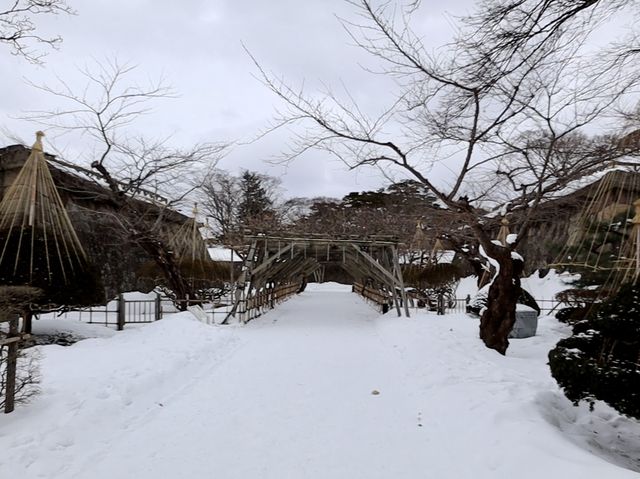 函館 五稜郭公園