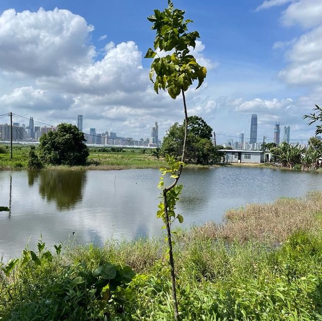 沿梧桐河行走，一路飽覽深圳和香港的城鄉美景