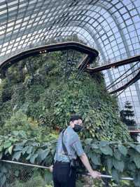 เที่ยว Gardens by The Bay ที่สิงคโปร์ 🌿