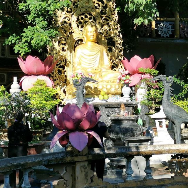 海防景點--海防最古老的寺廟Chùa Dư Hàng杜杭塔
