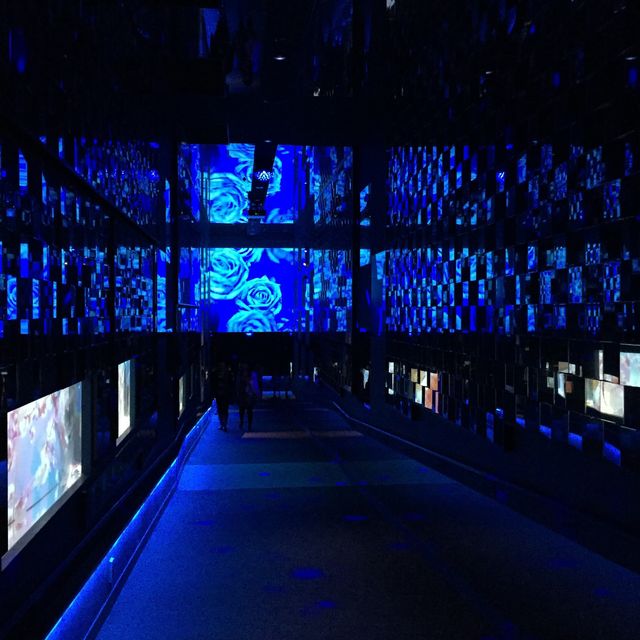 【東京】東京スカイツリーのすみだ水族館