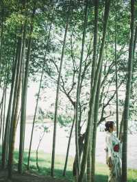 【岐阜】まるで京都！？絶景の竹林