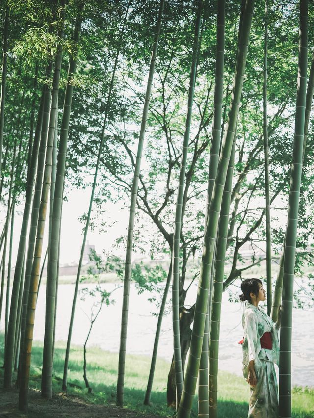 【岐阜】まるで京都！？絶景の竹林