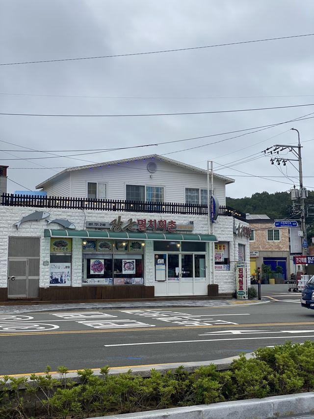 기장에 가면 꼭 먹어야 하는 멸치회🐟