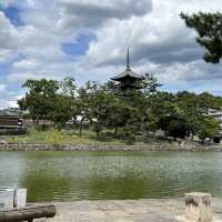 世界遺産を有する公園！奈良公園・東大寺