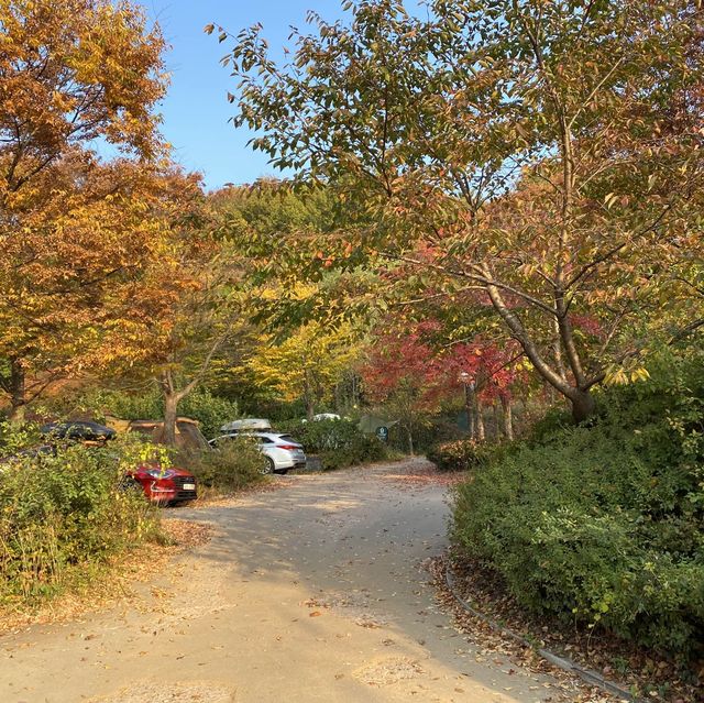 중랑캠핑숲 가을 캠핑하러 다녀왔어요