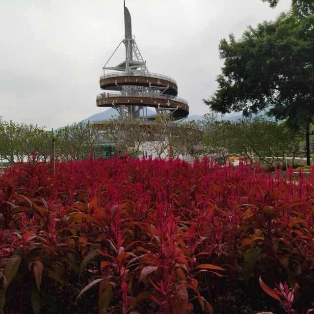 Visiting Tai Po Spiral Tower