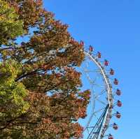 東京ドーム周辺の紅葉
