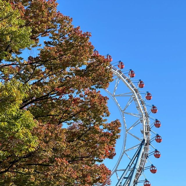 東京ドーム周辺の紅葉