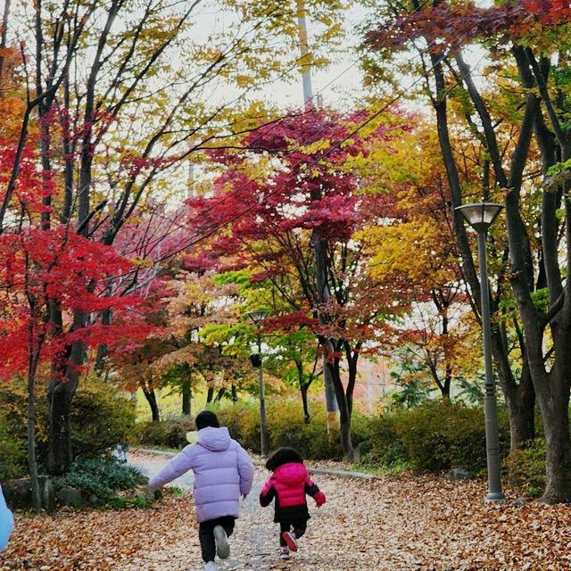 비슬산 가을풍경 11월초 단풍절정