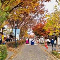 Colourful autumn of Jeonju