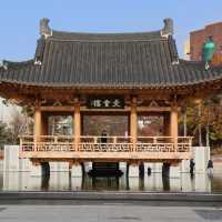가을을 만끽할 수 있는 전북대학교 캠퍼스🍂