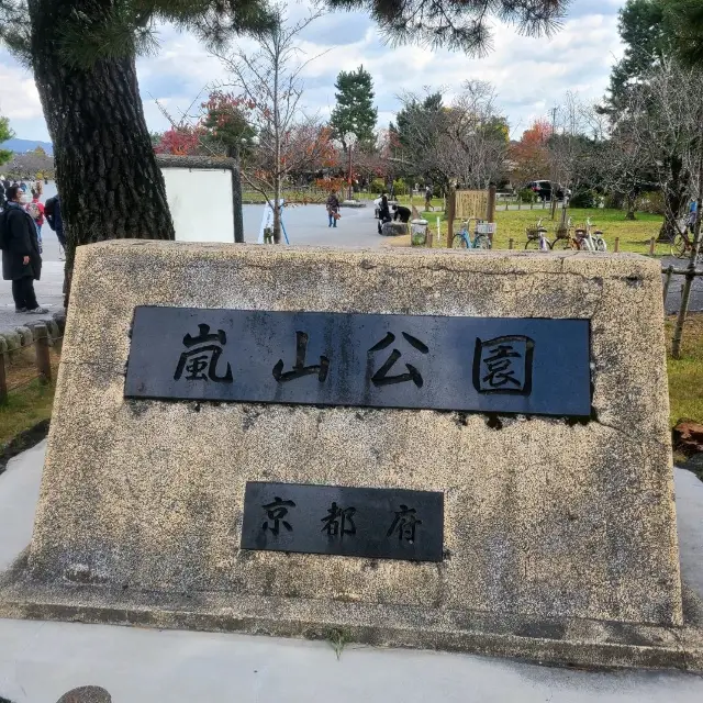 自然がダイレクトに感じられる公園【嵐山公園】✨