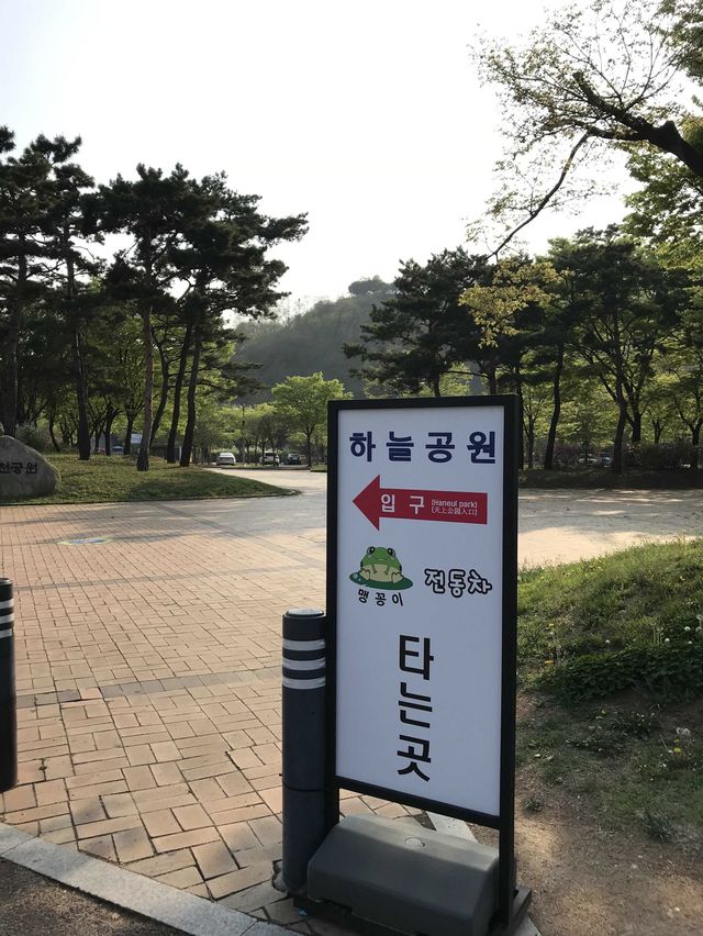 韓國 天空公園｜ 打卡景點